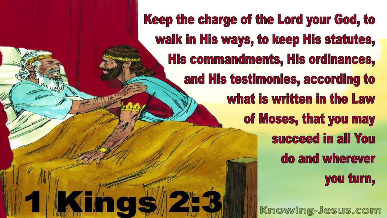 1 Kings 2:3 Walk In His Ways (red)
